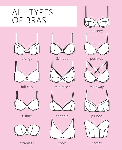 Types of bras — Stock Vector