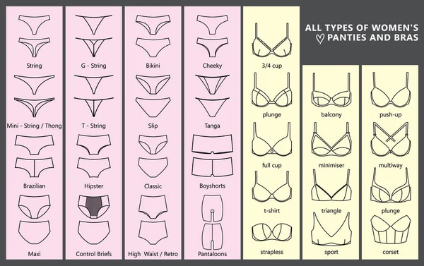 Types of bras. The complete vector collection of lingerie Stock Vector