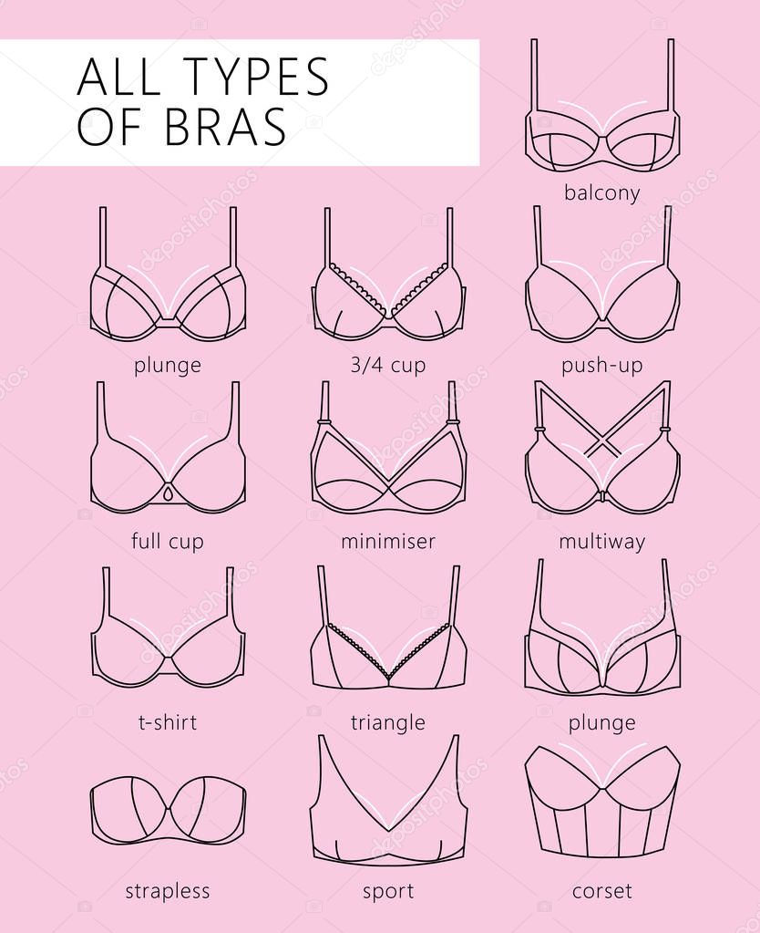 Types of bras Stock Vector by ©Lazuin.gmail.com 129200606