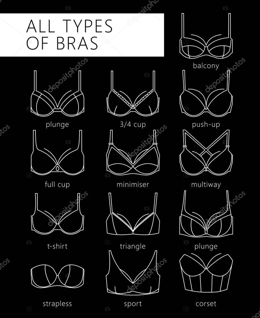 Types of bras Stock Vector by ©Lazuin.gmail.com 129200608