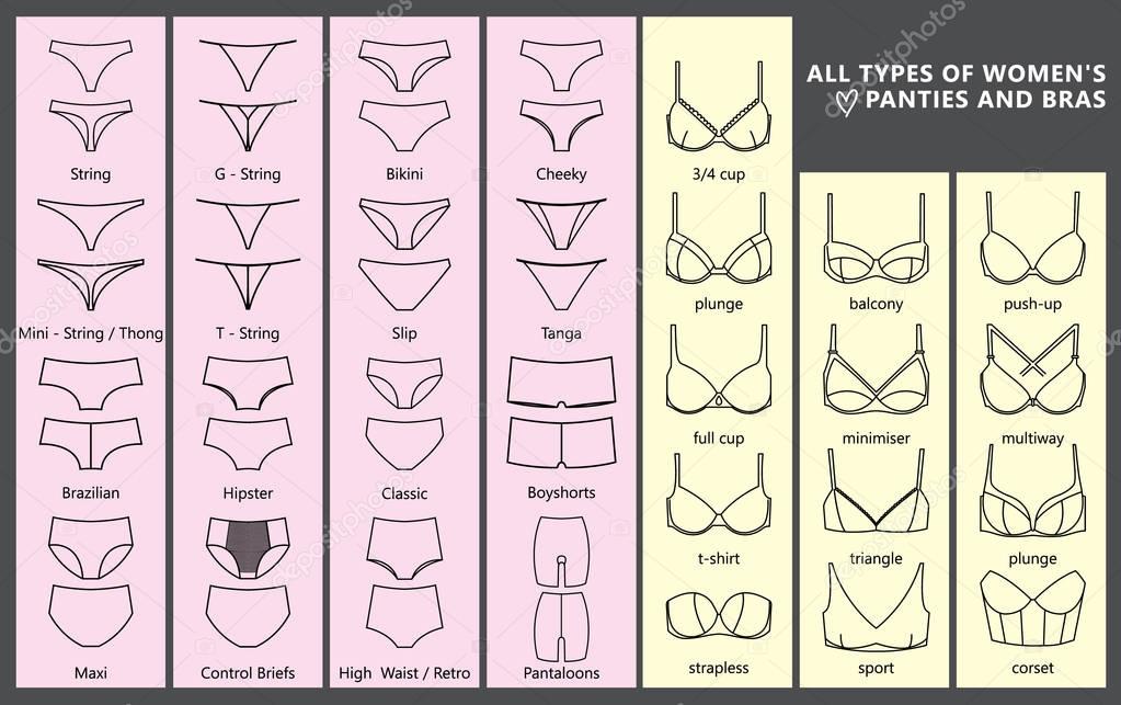 Types Of Women's Panties And Bras. Set Of Underwear. Vector Illustration  Royalty Free SVG, Cliparts, Vectors, and Stock Illustration. Image  139118422.