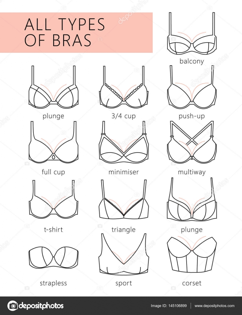 Woman bra types collection vector icons of fashion brassiere lin Stock  Vector
