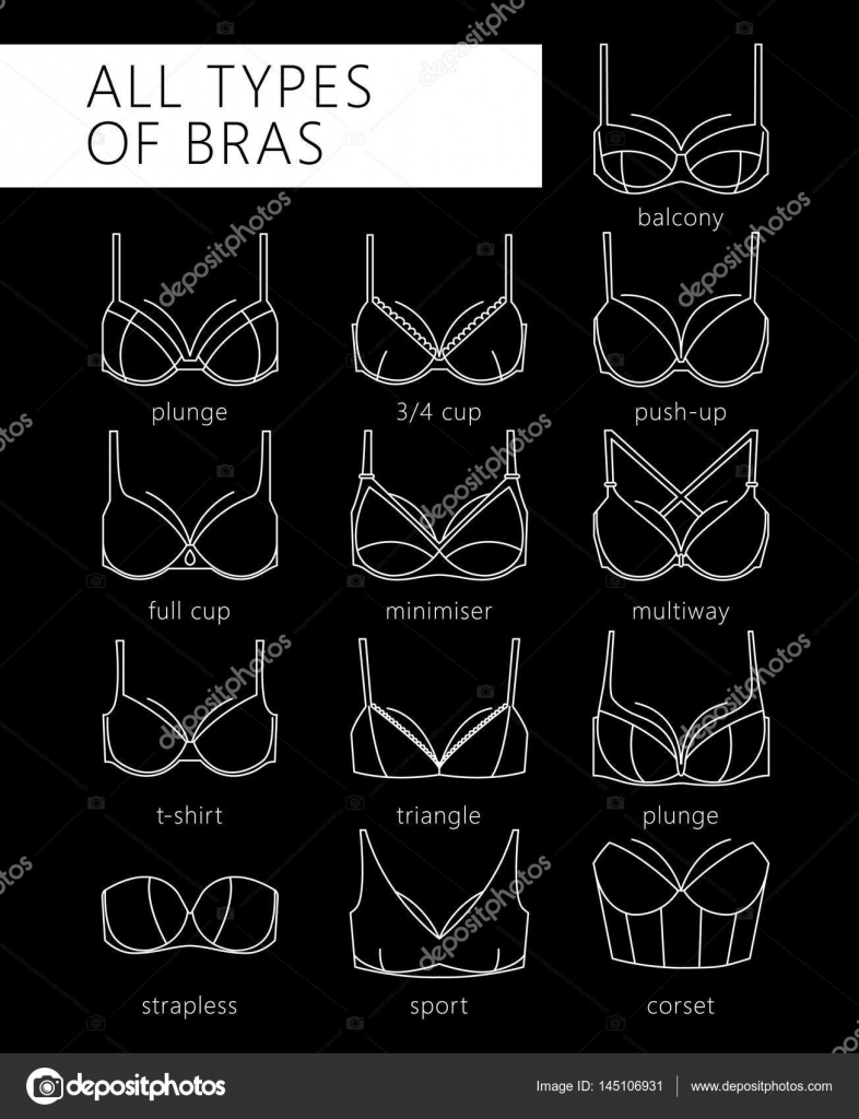 Bra Types: Over 1,327 Royalty-Free Licensable Stock Vectors & Vector Art