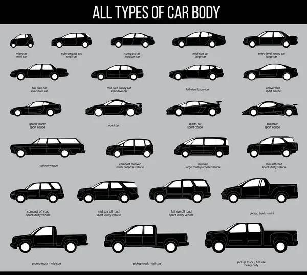 자동차 바디의 종류 — 스톡 벡터