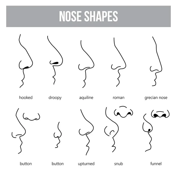 Differently shaped noses — Stock Vector