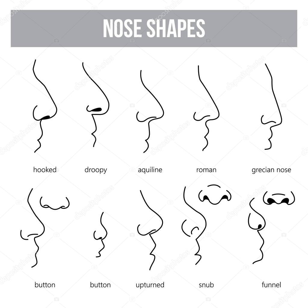 Nose Chart