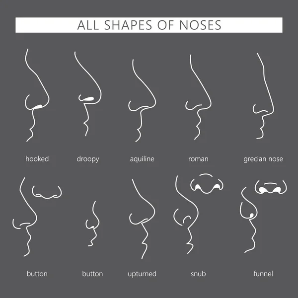 Annorlunda formade näsor — Stockfoto