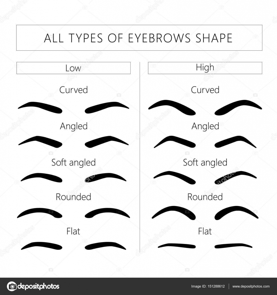 Female and male brows Stock Vector by ©Lazuin.gmail.com 151288612