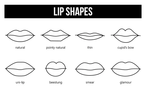 Types of lip shapes — Stock Vector