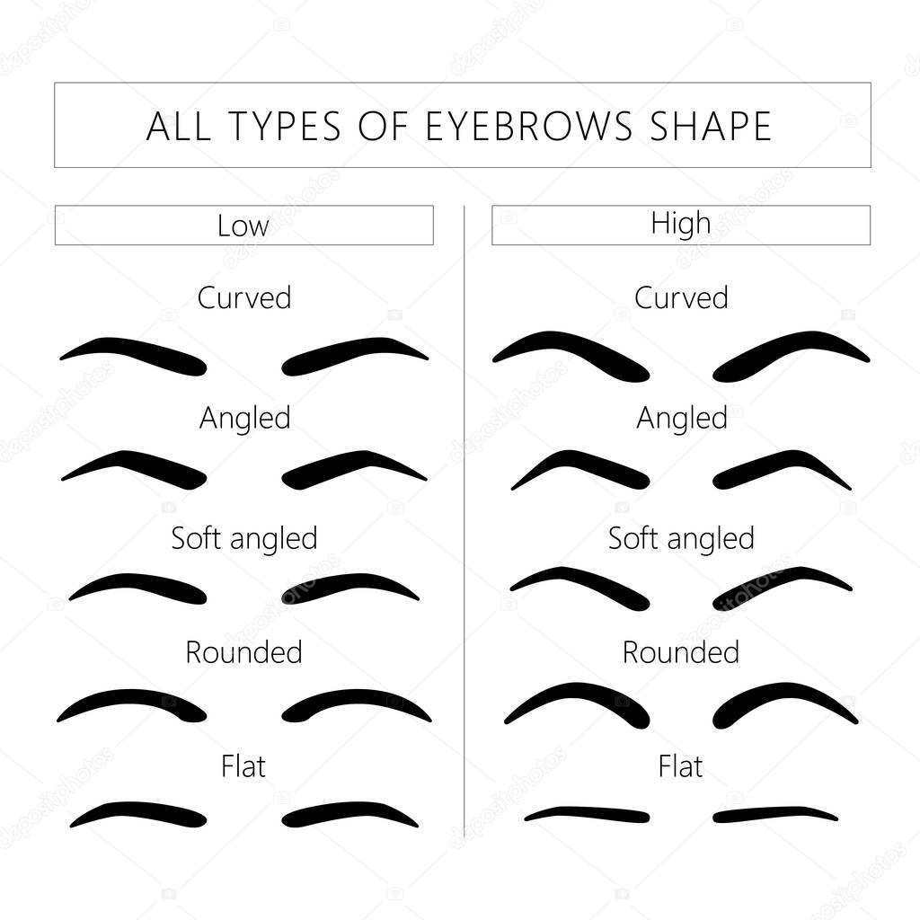 female and male brows