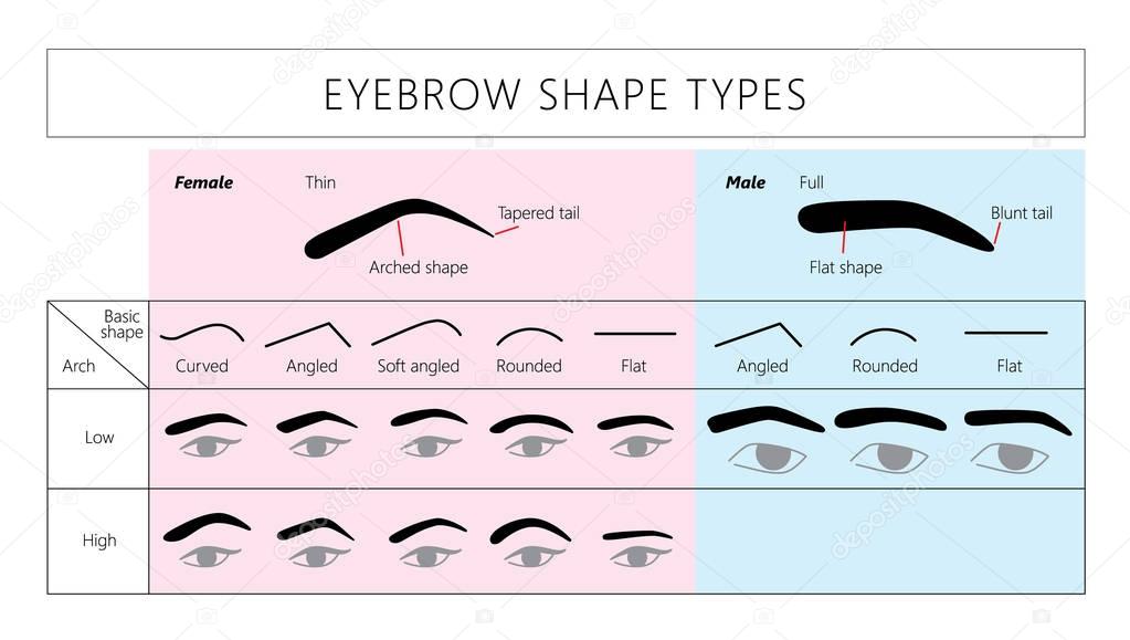 female and male brows