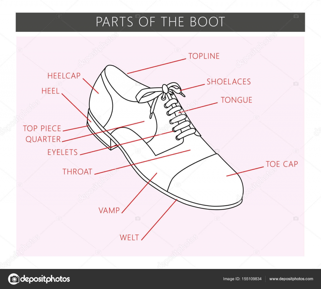 Parts of the boot Stock Vector Image by 155109834