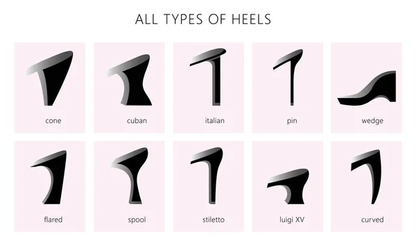 All types of heels — Stock Vector