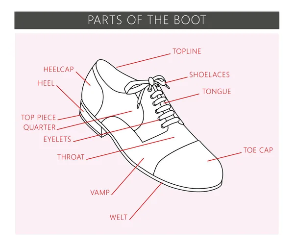 Partes de la bota — Vector de stock