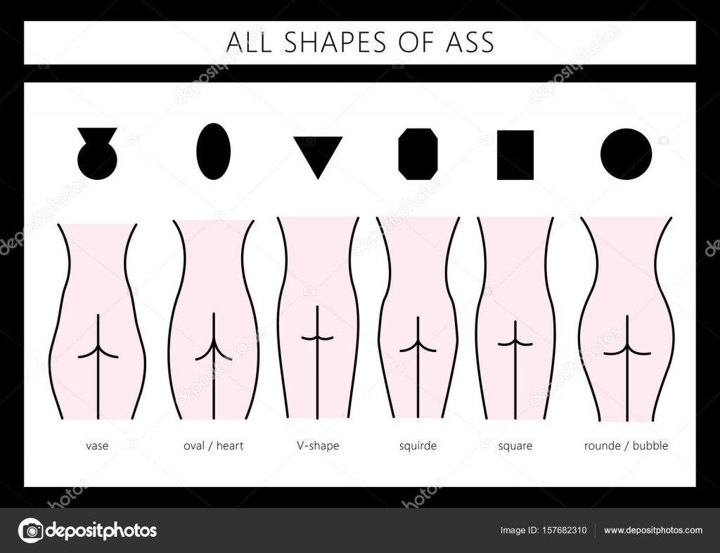 Shapes of ass Stock Vector by ©Lazuin.gmail.com 157682310