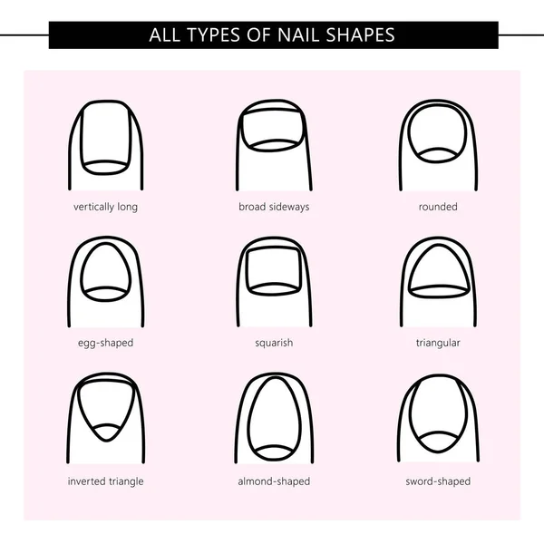 Types of nail shapes — Stock Vector