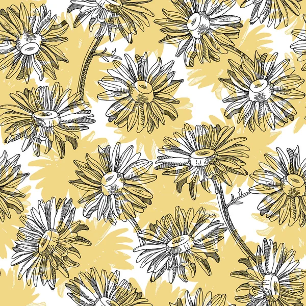 Patrón floral con margaritas — Archivo Imágenes Vectoriales