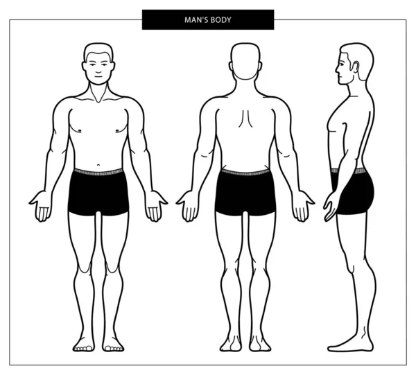 Silueta masculina del cuerpo humano — Vector de stock