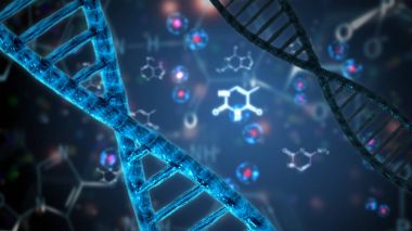 nükleik asit çift sarmal dna