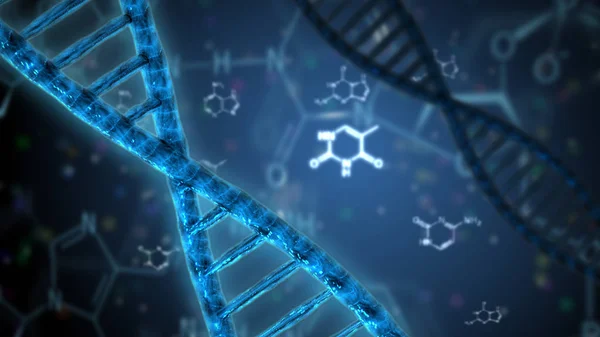 Structure de la double hélice de l'ADN — Photo