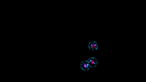 细胞核细胞周期有丝分裂分裂 细胞分裂成更多的子细胞在黑色背景上 — 图库视频影像