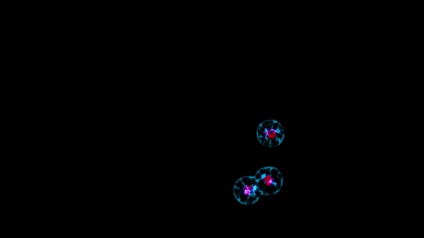 Ciclo Celular Mitosis División Del Núcleo Las Células Divide Más — Vídeos de Stock