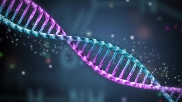 Dna Helix Rotierend Mit Farbigen Chromosomen Sexualitätskonzept — Stockvideo