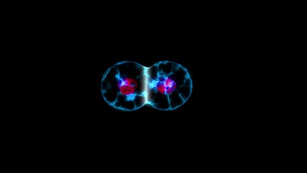 Process Cell Division More New Cells Isolated Black Background — Stock Video