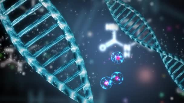 Dna Dubbelspiral Med Celler Division Animation — Stockvideo