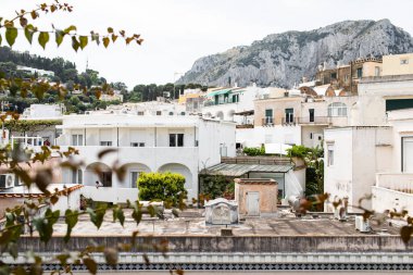Nedimeler düğün töreninde şampanya içerler.