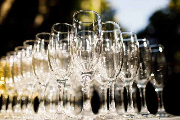 stock image Bridesmaids hold a champagne at the wedding celebration