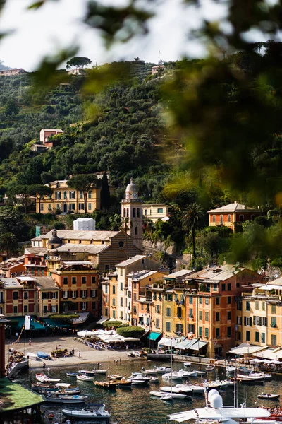 Nedimeler düğün töreninde şampanya içerler.