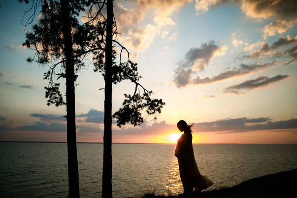 Silueta Una Mujer Embarazada Cerca Árbol Coníferas Fondo Del Atardecer — Foto de Stock