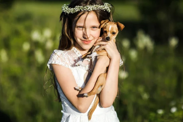 Niña Sostiene Perro Sus Brazos Chihuahua Desde Exterior —  Fotos de Stock