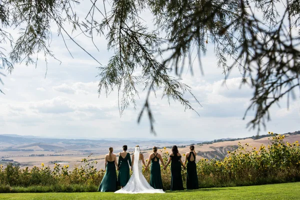 Novia Sus Novias Están Cogidas Mano Mirando Las Montañas Italia —  Fotos de Stock