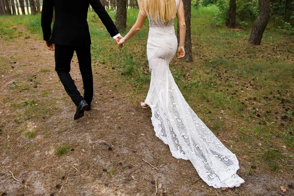 Wedding couple walking among the greenery. View from the back.