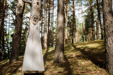Düğün Fotoğrafı: Dantelli Gelinlik Dışarıdaki Evergreen Bush 'ta asılı