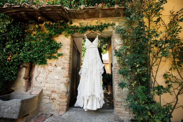 Wedding Photography: Lace Wedding Dress Hanging from an Evergreen Bush outside