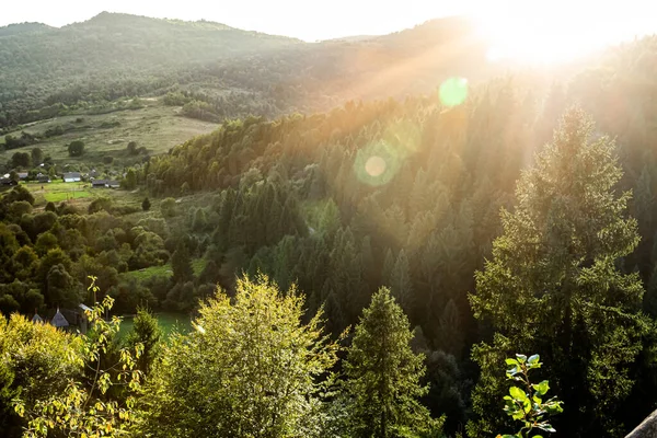 All Alba Carpazi Ucraina Alberi Montagne Sole Entra Nell Obiettivo — Foto Stock