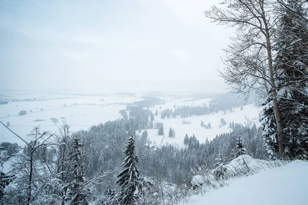 Foggy View Neuschwanstein Alpine Foothills Hilly Landscape Trees Mountains Full — Stock Photo, Image