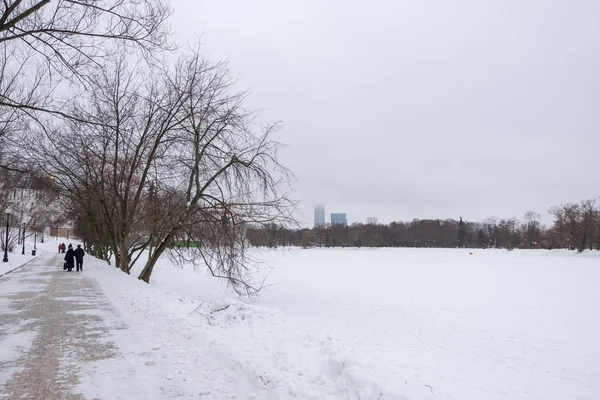 Moscovo Rússia Dezembro 2016 Pessoas Andando Pelo Novodevichy Park Com — Fotografia de Stock