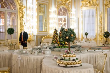 Saint Petersburg, Rusya. 19 Aralık 2016: The Catherine Palace, iç Rus Çarlar yaz köşkü oldu. Saint Petersburg, Rusya Federasyonu Puşkin şehir içinde bulunan.