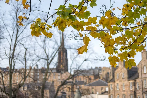 Yellow Orange Leaves Autumn Blurred Image Historic Building Edinburgh United — Stock Photo, Image