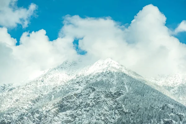 Nebliger Blick Auf Die Berge Bäume Voller Schnee — Stockfoto