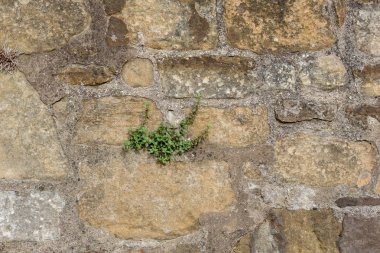 Taş tuğla doku arka plan