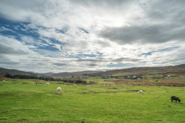 Doğal manzaralı dağ, orman İskoçya Highlands.