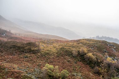 Doğal manzaralı dağ, orman İskoçya Highlands.