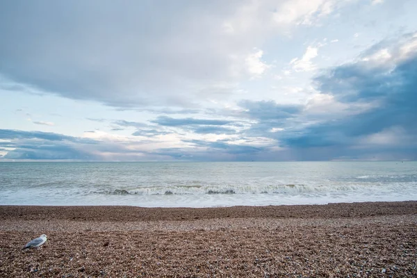 Brighton beach İngiltere'de — Stok fotoğraf