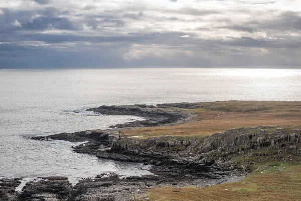 Doğal Manzaralı Dağ Orman Göl Skoçya Highlands — Stok fotoğraf