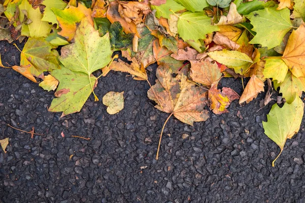 Brązowy Żółte Liście Ziemi Wiosną Jesienią — Zdjęcie stockowe
